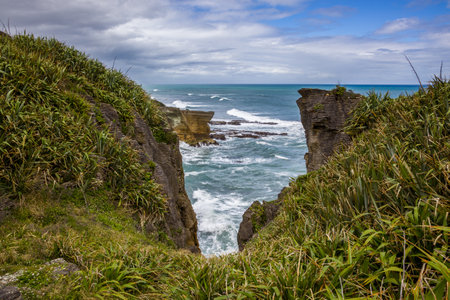 Pancake Rocks near Punakaiki in New Zealandの素材 [FY310167404937]