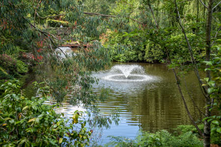 SHREWSBURY, SHROPSHIRE, UK - JULY 13 : View of a fountain in the lake in Quarry Park, Shrewsbury, Shropshire, England, on July 13, 2021. One unidentified personのeditorial素材