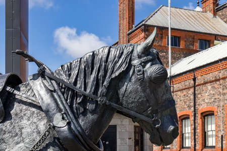 LIVERPOOL, UK - JULY 14 : Horse statue "Waiting" by Judy Boyt near the  waterfront in Liverpool, England on July 14, 2021のeditorial素材