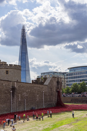 LONDON, UK - AUGUST 22. People preparing Poppy display at the Tower of London on August 22, 2014. Unidentified peopleのeditorial素材
