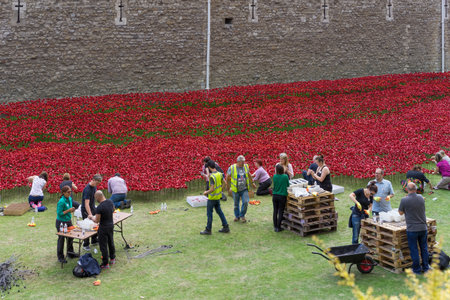 LONDON, UK - AUGUST 22. People preparing Poppy display at the Tower of London on August 22, 2014. Unidentified peopleのeditorial素材