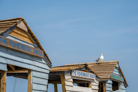 WHITBY,  NORTH YORKSHIRE, UK - JULY 19: Seagull on a replica fishermans hut in Whitby, North Yorkshire on July 19, 2022のeditorial素材