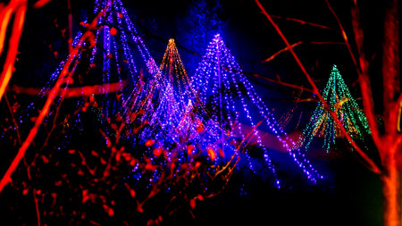 Wisley, Woking, Surrey, UK - November 19 : Christmas Glow 2022 at RHS Garden Wisley, Woking, Surrey, England, UK on November 19, 2022のeditorial素材