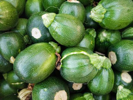 Tiny squashes on the market. Green zucchini.の写真素材
