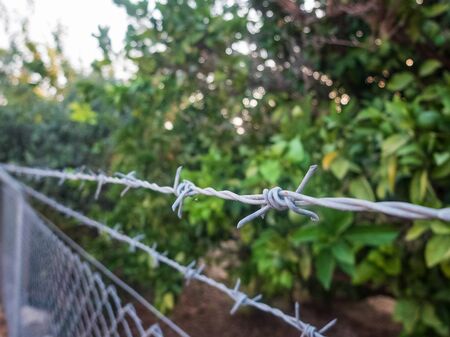Barbed wire fence around fruit garden. Restricted area, do not trespassing.の写真素材