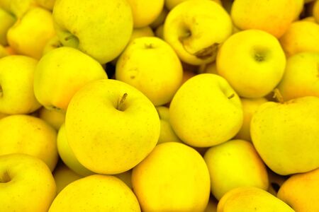 yellow apples on the market background or textureの写真素材