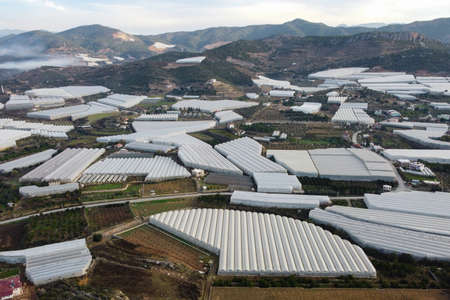Numerous greenhouses at rural hillside area aerial view