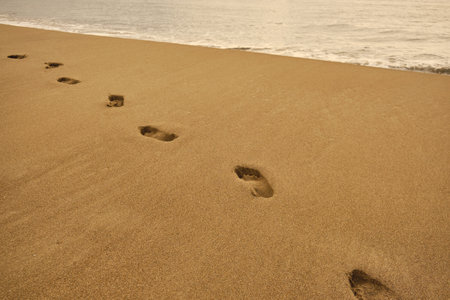 Footprints on a sandy beach in early morningの写真素材