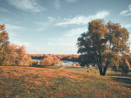 Autumn landscape with meadow and treesの写真素材