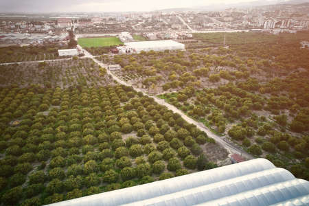 Fruit gardens and greenhouses