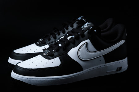 Nike Air Force One Lows on black