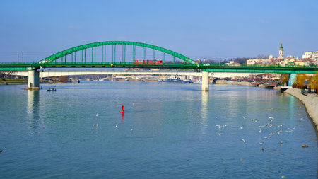 Tram drives on Old Sava bridge in Belgrade, Serbia. seagulls above river. View of Old Sava bridge and riverside promenadeの写真素材