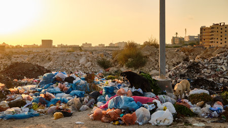 Roadside garbage dump