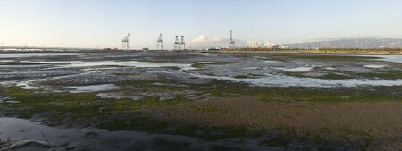 marsh panorama