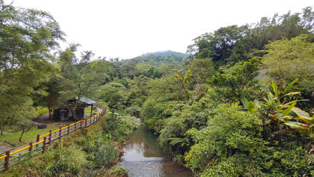 The view of the trail in the bamboo forest in Jintong in Pinxi in Taiwan