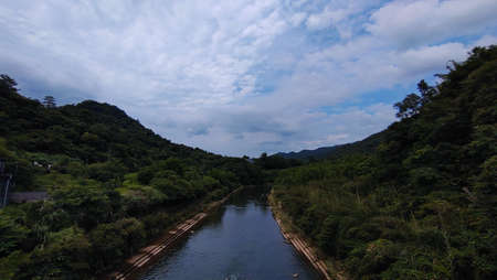 The creek flowing with rich water in the forestの写真素材