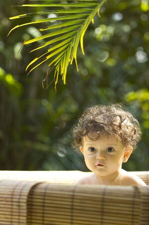 bath time in the tropical gardenの写真素材