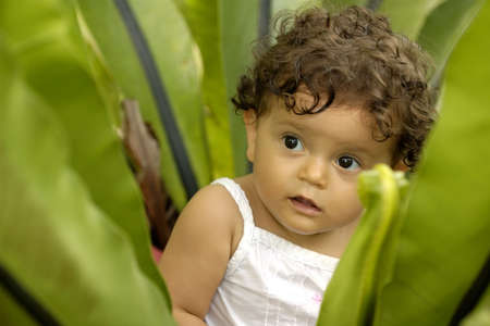 Toddler in a tropical plantの写真素材