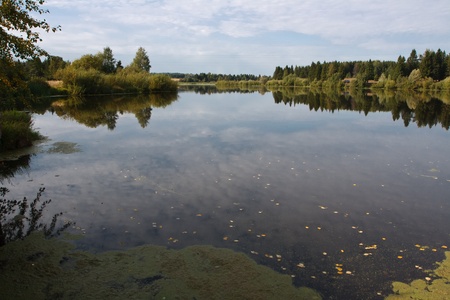 a quiet pond with harbingers of autumnの写真素材