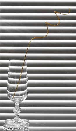 glass with spiral branches on the black and white backgroundの写真素材