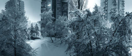 Winter scene, night panorama.の写真素材
