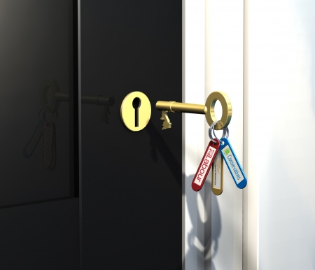 Keys to government, 3 political party keys in a door