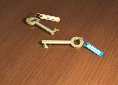 Keys to government, 2 political party keys on a table