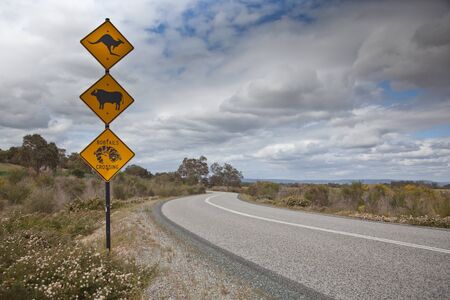 Unusual street signage to the left of a winding road receeding into the distance against a ominous clouded sky の写真素材