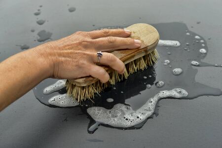 brushの写真素材