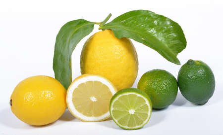 lime and lemon on the white backgroundの写真素材
