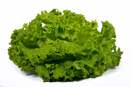 green salad on the white backgroundの写真素材