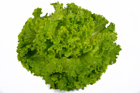green salad on the white backgroundの写真素材