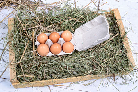 carton of six eggs in the straw