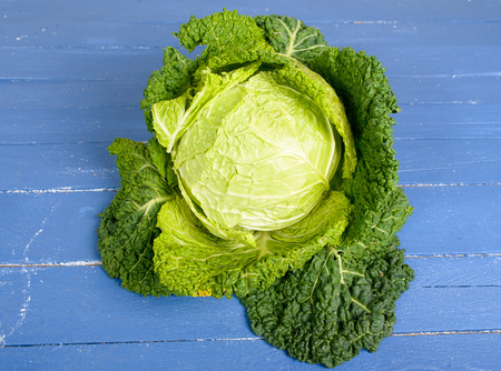 cabbage on a blue antique tableの写真素材