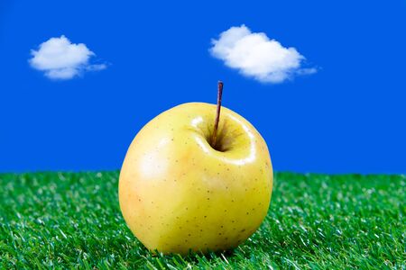 Yellow apple on green grass with bright colorsの写真素材