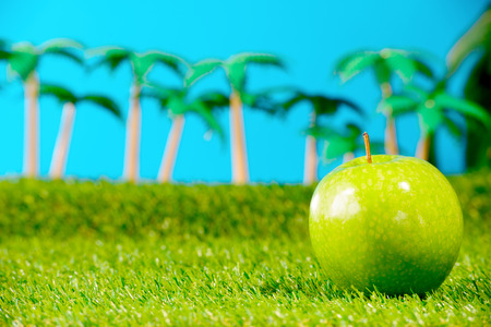 a green apple in the grass with palm treesの写真素材
