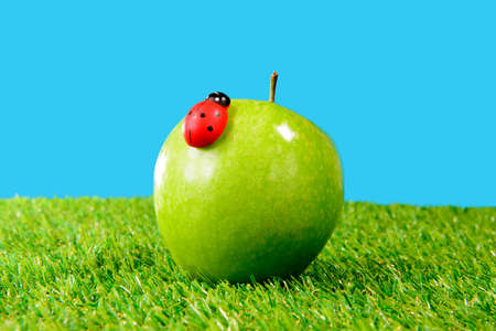 a green apple in the grass with ladybugの写真素材