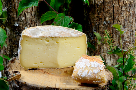 french cheeses Savoie on a piece of woodの写真素材