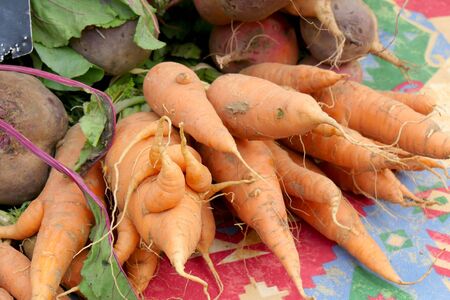 carrots on a small French market