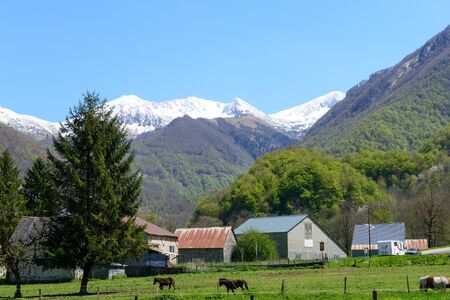 Mountain landscape with horses in the foreground, Pyrenees, france