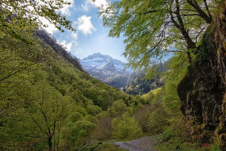 mountain landscape in the Pyrenees,  Ariege, France