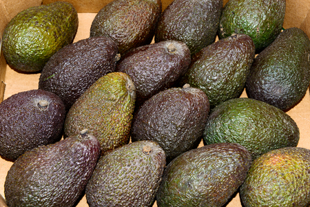 several green avocados in crate