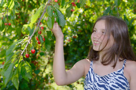 a pretty teenage girl outdoors with cherryの写真素材