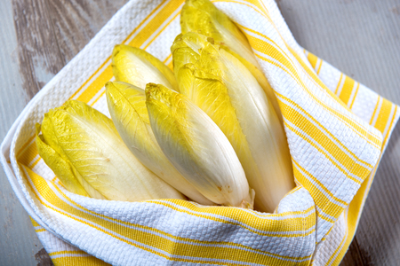 raw organic belgian or french endive の写真素材