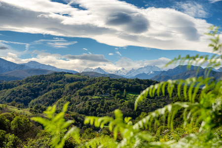 a mountain landscape in the French Pyrenees with ferns in the foreground