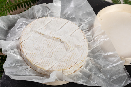 Camembert cheese traditional Normandy French, a dairy product