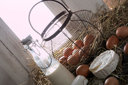 french Camembert cheese, eggs and milk on strawの写真素材