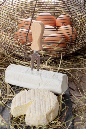 a french cheese of Saint Marcellin with eggs on the strawの写真素材