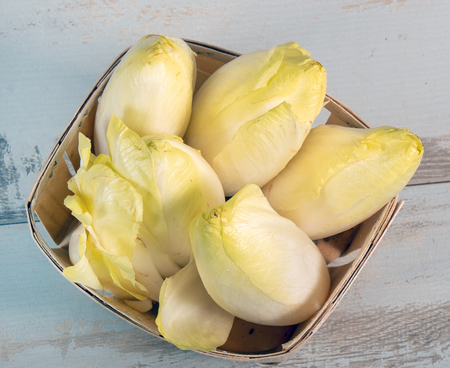vegetable organic  endives from a  France or Belgium
