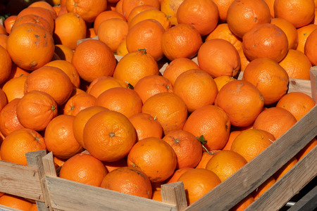 group of fresh organic oranges on the market placeの写真素材